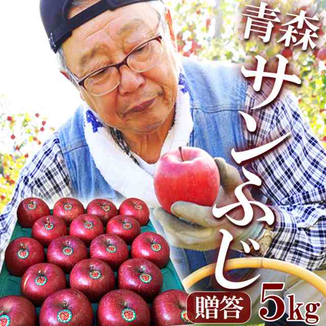 2024年産 青森県産りんご 家庭用 贈答用 サンふじ 5kg (約11玉?25玉前後) 産地直送 工藤農園 蜜入り ギフト 贈り物
